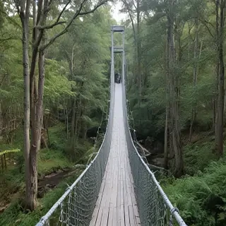 suspension bridge