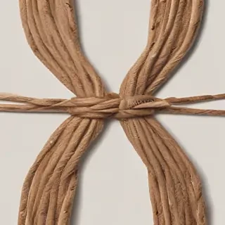 tying png