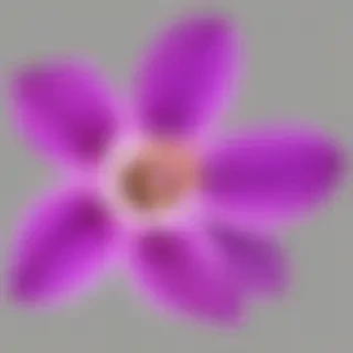 purple flower png