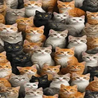wallpaper with cats