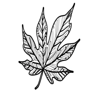 leaf doodle