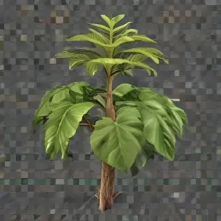 plant transparent