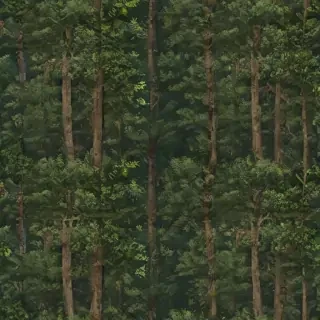 forest transparent background