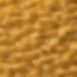macaroni and cheese png