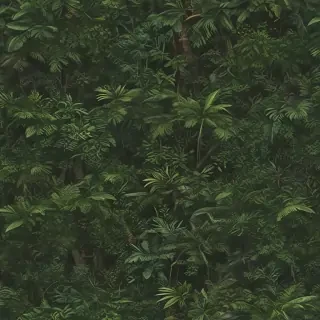 jungle png