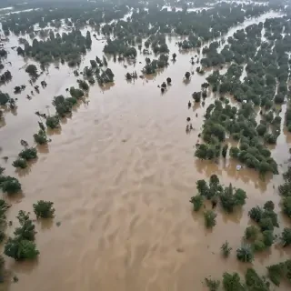 pic of a flood