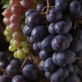 grape png