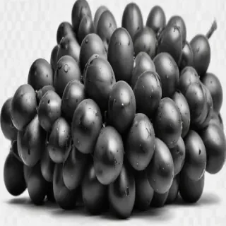 grapes clipart black and white