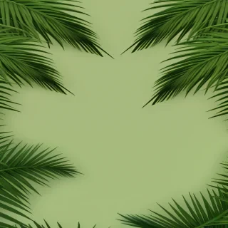 palm leaves png