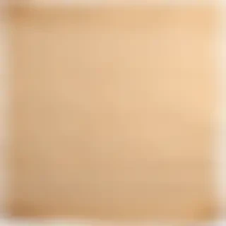 ripped paper png transparent