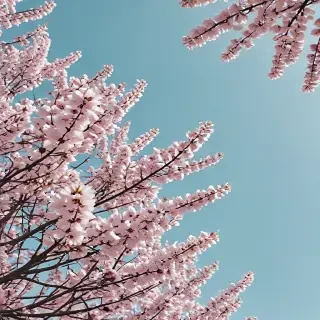 spring aesthetic desktop wallpaper