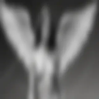 black and white angel drawings