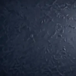 navy background