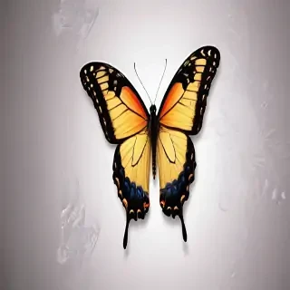 wallpaper butterfly images
