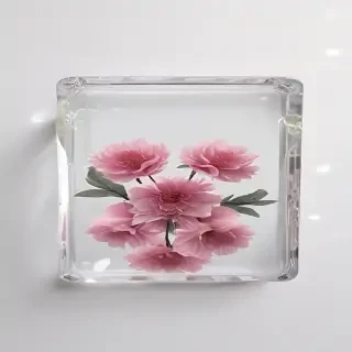 aesthetic transparent images