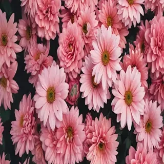 flowers aesthetic wallpaper