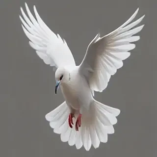 dove png
