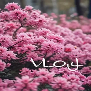 hello may images
