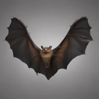 bat wings png