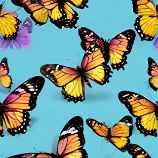 butterfly clipart png