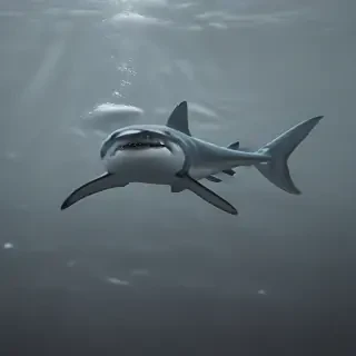 shark background