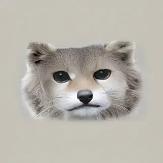 animals png