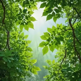 background green leaves