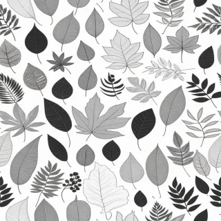 black and white leaf clipart