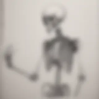 creative skeleton drawing art