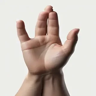 pray hands png