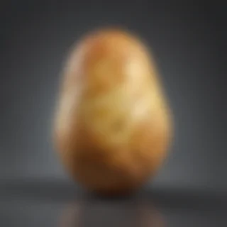 potato transparent background