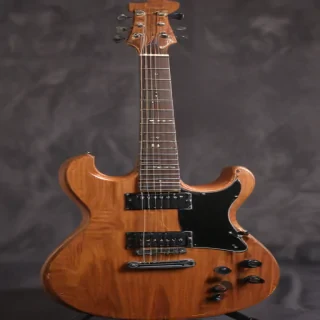 guitar.png