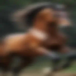 horse images drawing