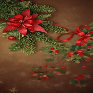 chritmas backgrounds