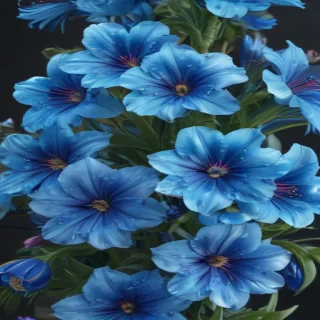 blue flowers transparent background