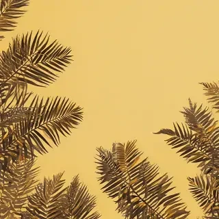 aesthetic yellow bg
