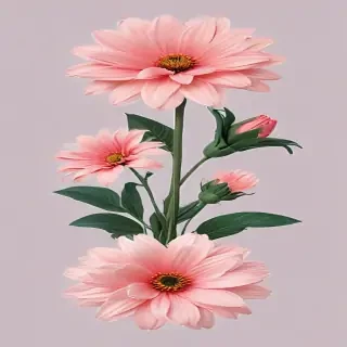 aesthetic flower png