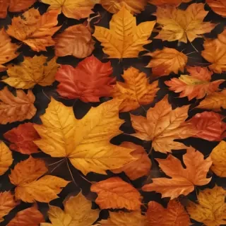 autumn leaf png