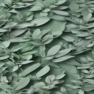 sage green aesthetic background