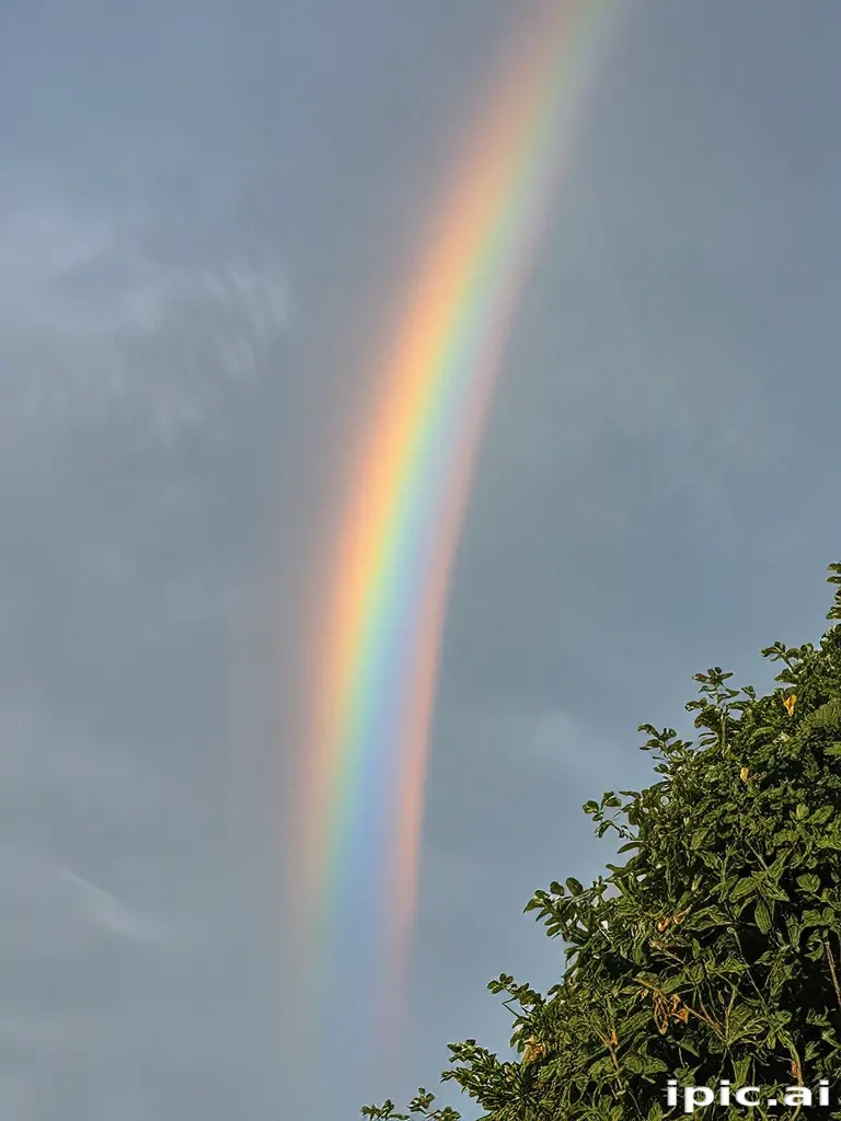 transparent rainbow