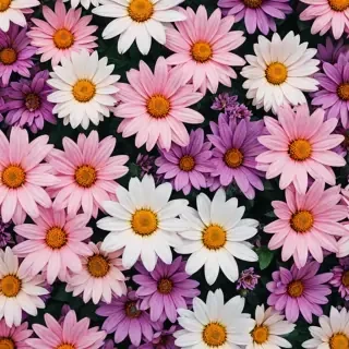flowers iphone wallpaper