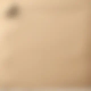 paper png