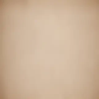 canvas texture overlay