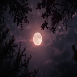 dark aesthetic background