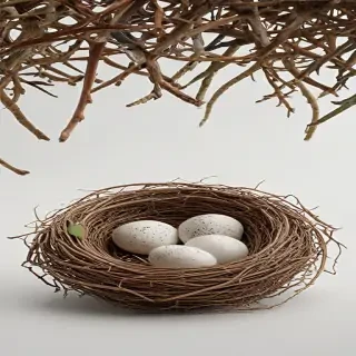 birds nest png