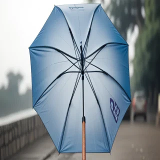 png umbrella