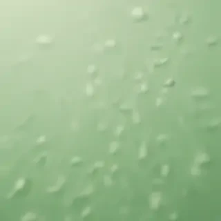 plain light green background