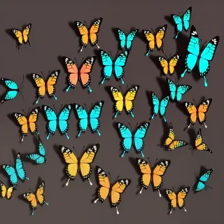 background butterfly
