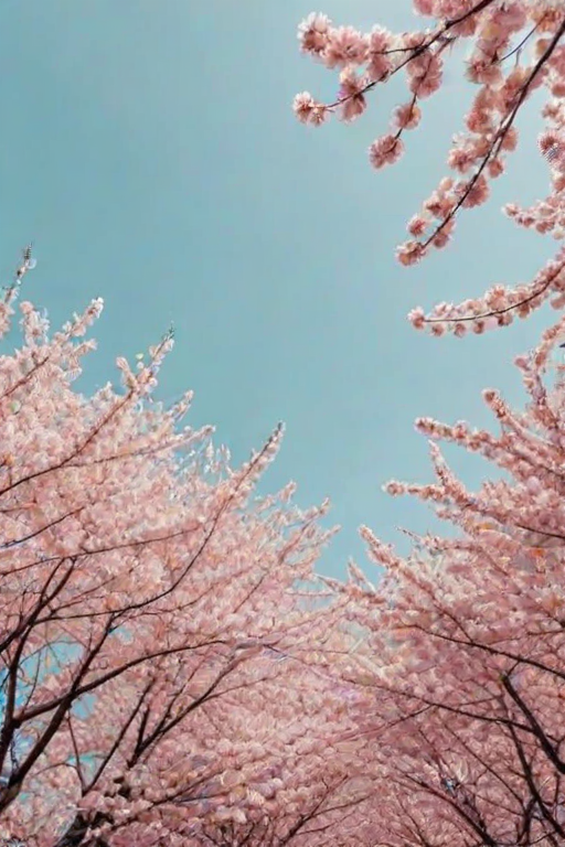 spring backgrounds aesthetic