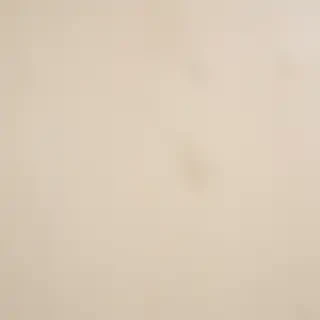 ivory background